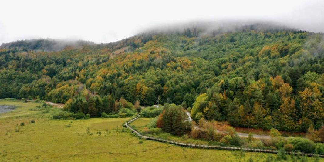 Sonbaharı yaşamak isteyen buraya akın ediyor! İç Anadolu’nun cenneti: Yeşilin yanına sarı  ve kızıl da eklendi 2